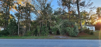 412 E Friendfield Rd, Coward, SC 29530