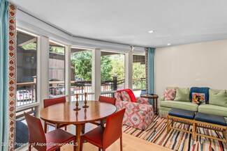803 E Durant Ave Unit 9, Aspen, CO 81611