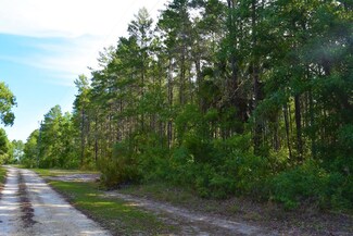 000 Duncan Ln NE, Steinhatchee, FL 32359