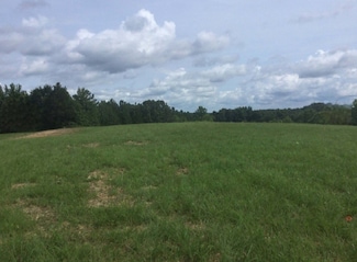 0 Young Ridge Rd Unit RTC2818510, Sparta, TN 38583