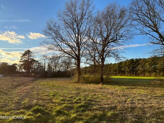 129 Bernice Gresham Ln, Beulaville, NC 28518