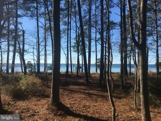 0 Shipsview Way Unit 1000072887, Piney Point, MD 20674