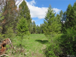 878 Toroda Creek Rd, Wauconda, WA 98859