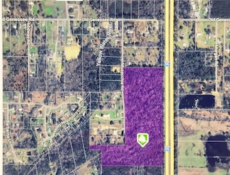 32.34 Acres Musacchia Rd, Tickfaw, LA 70466
