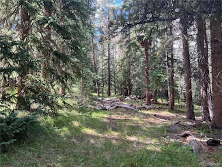 26 Blue Grouse Trail, Blue River, CO 80424