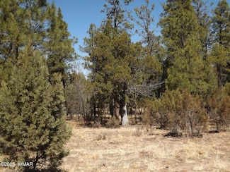 0004Y Parcel 1 Section 31, Overgaard, AZ 85933