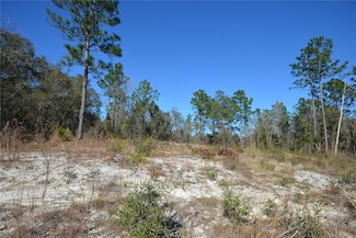 0 SW 144 Place Unit MFROM689378, Ocala, FL 34473