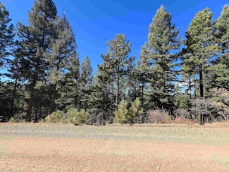 Lot 156 Back Basin Rd, Angel Fire, NM 87710