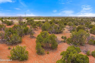 8449 Water Tank Cir Unit C, Valle, AZ 86046