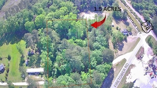 Tbd Thankful Cemetery Rd, Bamberg, SC 29003