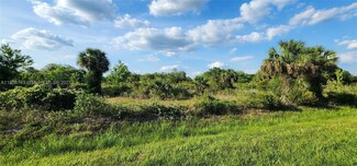 20272 NW 262nd St, Okeechobee, FL 34972