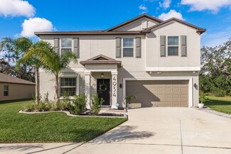 4934 Wild Senna Blvd, Tampa, FL 33619