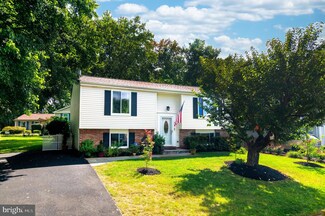 3007 Summershade Ct, Herndon, VA 20171