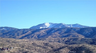 29009 195th St E, Llano, CA 93544
