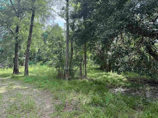 4668 Spillers Rd, Lumberton, TX 77657
