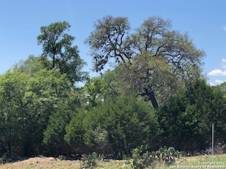 537 Rittimann Rd, Spring Branch, TX 78070