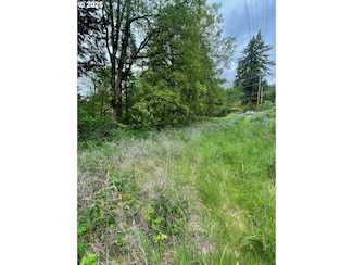 0 Carson Depot Rd, Carson, WA 98610