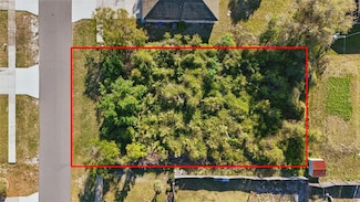 3155 Pigeon Cove St, Deltona, FL 32738