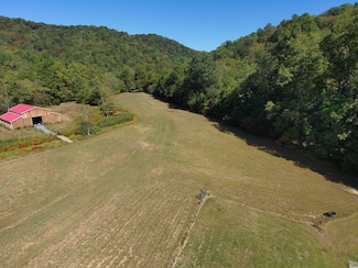 22253 Adolph Rd, Helvetia, WV 26224