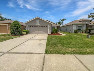 2936 Banyan Hill Ln, Land O Lakes, FL 34639