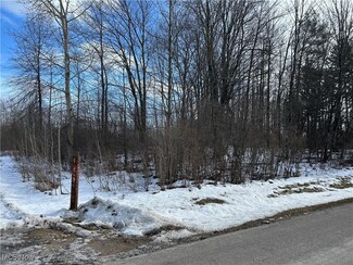 VL Munson Hill Rd, Saybrook, OH 44004