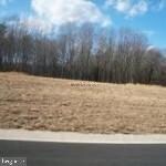 Lot 1 Chaplins Ct, Delmar (Wicomico), MD 21875