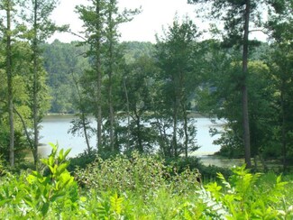 3.82 AC County Pond Rd, Freeman, VA 23856