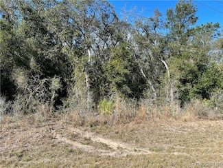1510 S Rock Crusher Rd, Homosassa Springs, FL 34448