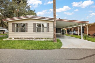 198 Palm Meadows Dr, Eustis, FL 32726