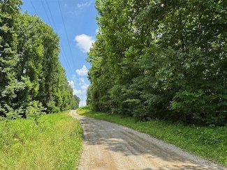 Lot 2 Cr-1350, Centertown, KY 42328
