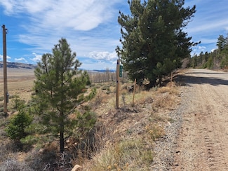 3088 Redhill Rd, Fairplay, CO 80440