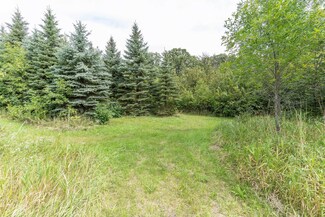 Lot C 202nd Ave, Elizabeth Township, MN 56537