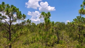 113 Bougainville Dr, Lake Wales, FL 33855