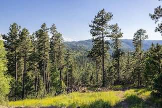 Lot 140 Paradise Gulch Ln Unit Serenity Court, North Lawrence, SD 57754