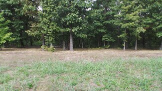 0 Farm Road 183 Unit 60010402, Fair Grove, MO 65648