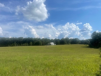 0 Tennessee Ridge Rd, Waverly, TN 37185