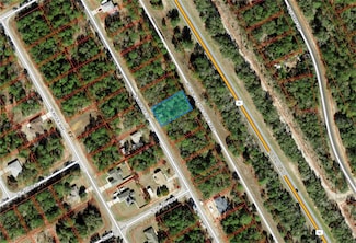 9531 N Sandree Dr, Citrus Springs, FL 34434