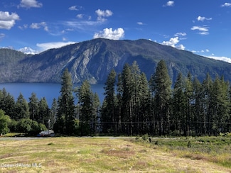 LT 1 BLK 3 Moose Track E Cape Horn Rd, Bayview, ID 83803