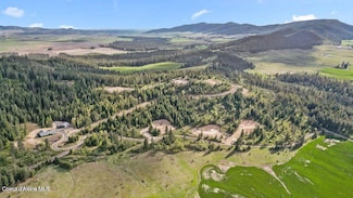 Lot 10 Lone Moose Dr, Plummer, ID 83851