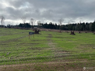 238 Ash Mountain Dr, Castle Rock, WA 98611