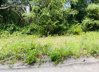0 NE 171st Ave Unit 950493, Silver Springs, FL 34488