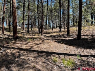 221 Badger Rd, Bayfield, CO 81122