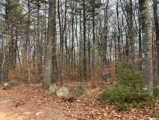32 Neal Hill Rd, Center Tuftonboro, NH 03816