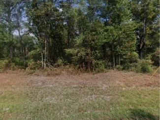 25845 Cambridge Blvd, New Caney, TX 77357
