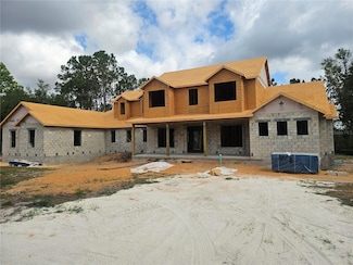 405 Long And Winding Rd, Howey In the Hills, FL 34737