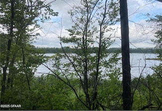 LOT 1 Wood Lake Dr SE, Erskine, MN 56535