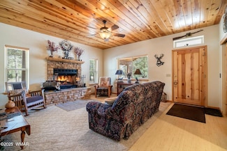 15 County Road 2019, Nutrioso, AZ 85932