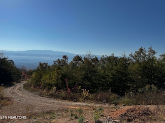 0 Mountain Ash Way Unit 1281453, Sevierville, TN 37876