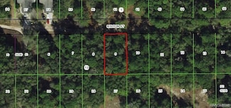 2007 Milton St, Inverness, FL 34453