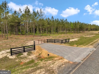 0 Dewey Thomas Rd Unit LOT 6 10305610, Dexter, GA 31019